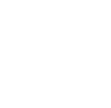 Dinsmore Strategy Group logo