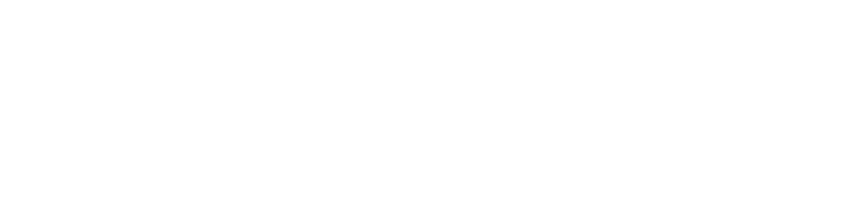 Dinsmore Strategy Group logo